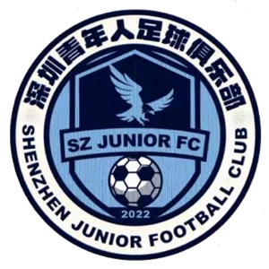 深圳青年人